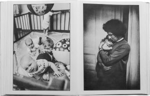 j_zkg-2024-4006_fig_004